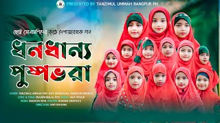 ধনধান্য পুষ্পভরা l দেশাত্মবোধক গান l Dhono Dhanno Pushpo Bhora l Tanzimul Ummah Rangpur PH [upl. by Cathee]