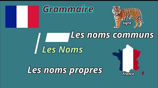 Quelle est la différence entre un nom commun et un nom propre [upl. by Trenton]