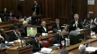 LIVE Oscar Pistorius trial day 2 continued completed [upl. by Nedmac]