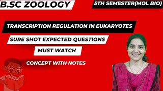 Transcription Regulation in Eukaryotes BSc Zoology 5th Semester molecularbiologycore11 [upl. by Eedak]