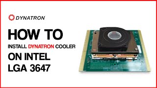 Install Cooler on Intel LGA 3647 [upl. by Natelson]