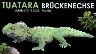 Safari Ltd ® Brückenechse  Tuatara  Review Deutsch  German [upl. by Lev]