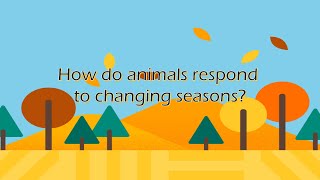 Lesson 2 How do animals respond to changing seasons [upl. by Alarick]