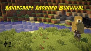 Minecraft Modded Survival Episode 1 A New Beginning [upl. by Elisabet]