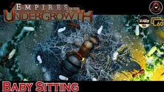 Empires of the Undergrowth  Baby Sitting Extra Level [upl. by Enivid]