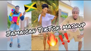 NEW JAMAICAN TIKTOK DANCE MASHUP 2024 [upl. by Dorcus705]