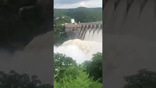 7 gates are open in Srisailam dam shorts youtubeshorts naturebeauty damsinhyderabad nature [upl. by Malena880]