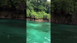 Escudo de Veraguas Comarca Ngäbe Buglé panama 🇵🇦 naturalezayvida naturalezaviva naturalezapura [upl. by Noyek]