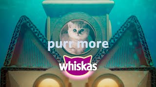 Curious kitten dives into delicious Whiskas® Junior [upl. by Oakleil]