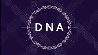 What is DNA and How Does it Work  Basics of DNA [upl. by Alat]