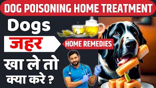 Dog Poisoning Treatment At Home  Symptoms  Home Remedy  In Hindi [upl. by Verne]