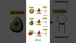 Whats the Thermic Food Effect [upl. by Kries]