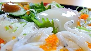 Eating Japanese food Donburi quotShirasu donquot ASMR [upl. by Valenta]