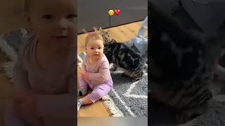 funny stories about babies and cats ❤️😍👶🏻🐈 [upl. by Letch]