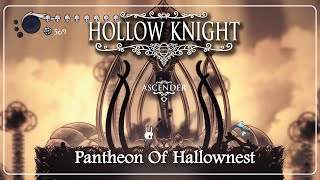 Completando el 5to Pantheon PANTHEON OF HALLOWNEST en Hollow Knight [upl. by Enilehcim]