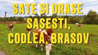 SATE SI ORAȘE SASESTI  CASE TRADITIONALE CU TIGLA DIN LUT  CODLEA  BRASOV [upl. by Benny]