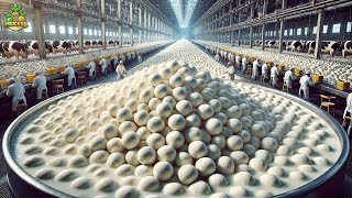 Mozzarella Cheese Mega Factory Processing Mozzarella Cheese With Modern Technology [upl. by On]