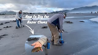 How To Dig for Huge Razor Clams  Seaside Oregon [upl. by Ajay]