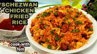 Schezwan Chicken Fried Rice Recipe In Hindi  With Homemade Schezwan Sauce  Cook With Fem [upl. by Colson]