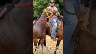 La Tortillera CLos Dos Carnales elcarrilero caballos horse horseracing carrerasdecaballos [upl. by Gae745]