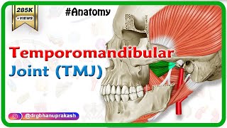 Anatomy of Temporomandibular joint  TMJ  Animation Gross Anatomy medical animations [upl. by Raine75]