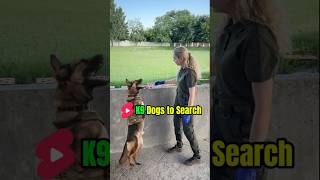 K9 🔎 Trainingdog dog k9trainer belgianmalinoisdog k9 pets belgiummalinois [upl. by Annecorinne]