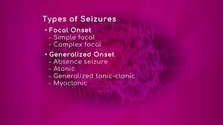 The Different Types of Seizures [upl. by Ferrand]