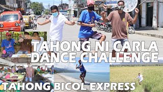 TAHONG NI CARLA DANCE CHALLENGE  TAHONG BICOL EXPRESS [upl. by Eylk359]