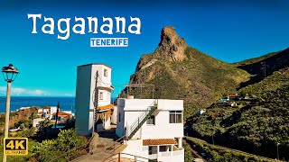 Taganana Tenerife Walking tour 4K [upl. by Ruth]