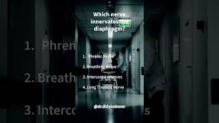 Diaphragm innervation Anatomy amp Neurology quiz [upl. by Lexie439]