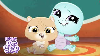 LPS A World of Our Own  Welcome to the Littlest Pet Shop 🐠 Digital Short [upl. by Biddy916]