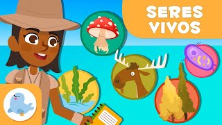 Clasificación de los SERES VIVOS 🦠 🐰 5 REINOS 🌱 Ciencias para niños [upl. by Relyhcs254]