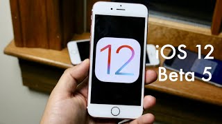 iOS 12 BETA 5 On iPHONE 6S Review [upl. by Ferreby987]