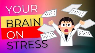 Brain On Stress What Happens and How To Stop The Damage [upl. by Ause]