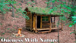 Warm shelter for survival in the wild forestA house in the forest from start to finish Full video [upl. by Anallise883]