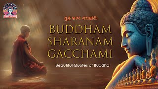 Buddham Saranam Gacchami l Meditation Song  Mind Body Relaxing Music  Buddhism Chants amp Quotes [upl. by Nivart286]