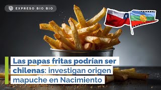 Las PAPAS FRITAS podrían ser chilenas investigan ORIGEN MAPUCHE en Nacimiento [upl. by Bow201]