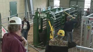 87 Series Cattle Squeeze Chute  Live Chute Out from Tulsa Farm Show  Arrowquip [upl. by Anna-Diana]