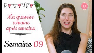 9ème semaine de grossesse – L’échographie du 1er trimestre [upl. by Ahsikar]