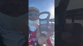 quotA MONSTERquot NEW PERSONAL BEST garminlivescope crappiefishing fishing [upl. by Ellesirg]