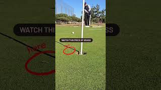 Stop cleaning the greens before you putt golf putter putts shortgame [upl. by Darryl]