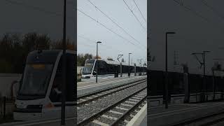 RNT Tram erreicht die Bensheimer Straße [upl. by Nelo757]