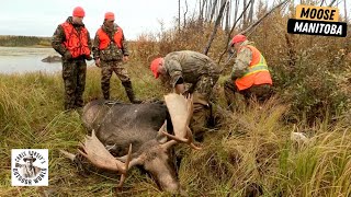 Hunting Giant Moose in Manitoba [upl. by Ekihc]