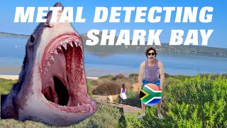 Shark Bay Beach Metal Detecting Good Stuff Treasuring [upl. by Yenaffit]