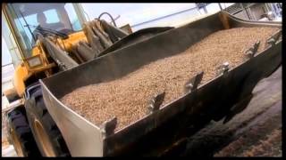 Pellet Manufacturing Process From Forest and Biomass Waste [upl. by Elockcin]