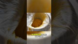 Perfect Pumpkin Puree Why Cheesecloth is Essential pumpkinpie pumpkinpuree amazonfinds [upl. by Ahsauqram]