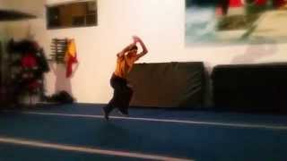 Gymnastics Flips  Wushu Shaolin Kung Fu [upl. by Nika826]