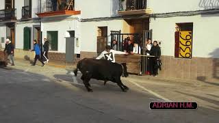 EstivellaV 1022018 Detalles de Javi Edo Ganado de Monferrer [upl. by Juanita]