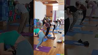 Backbendingflexibilityyoga practice fitness yogapractice virashorts trending [upl. by Rocky]