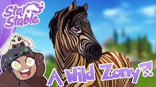 A Wild Zony Appears 🐴🌟 Star Stable [upl. by Abigael]